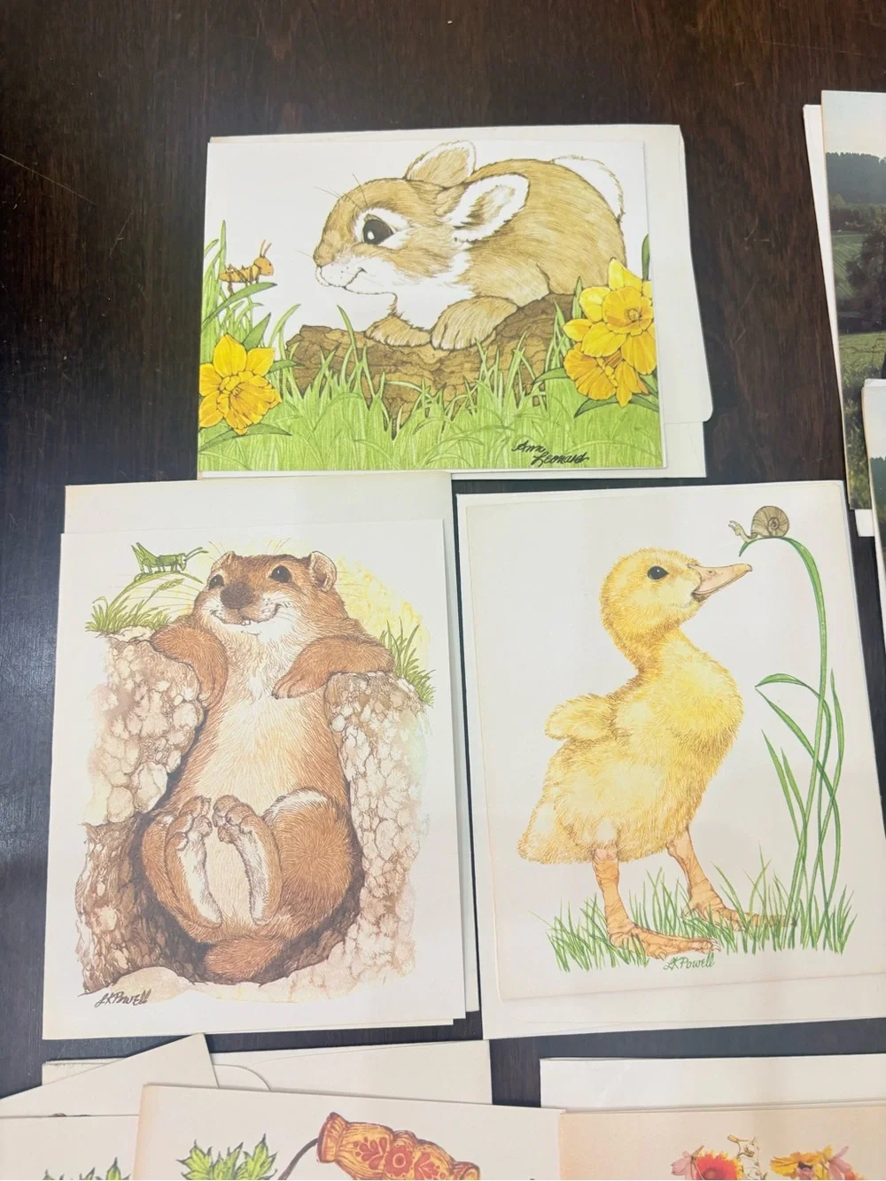 10 Assorted Current Floral, strawberry & Animal Blank Cards